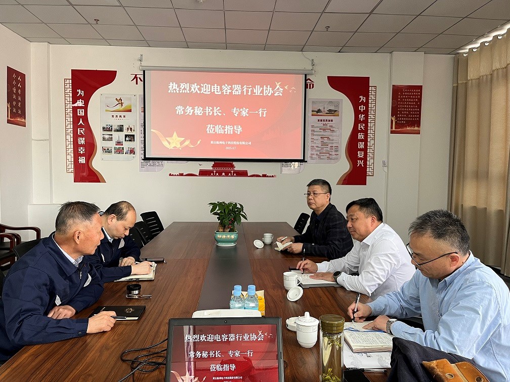 中國電子元件行業(yè)協(xié)會電容器分會副秘書長凌建民一行深入黃山振州考察調研